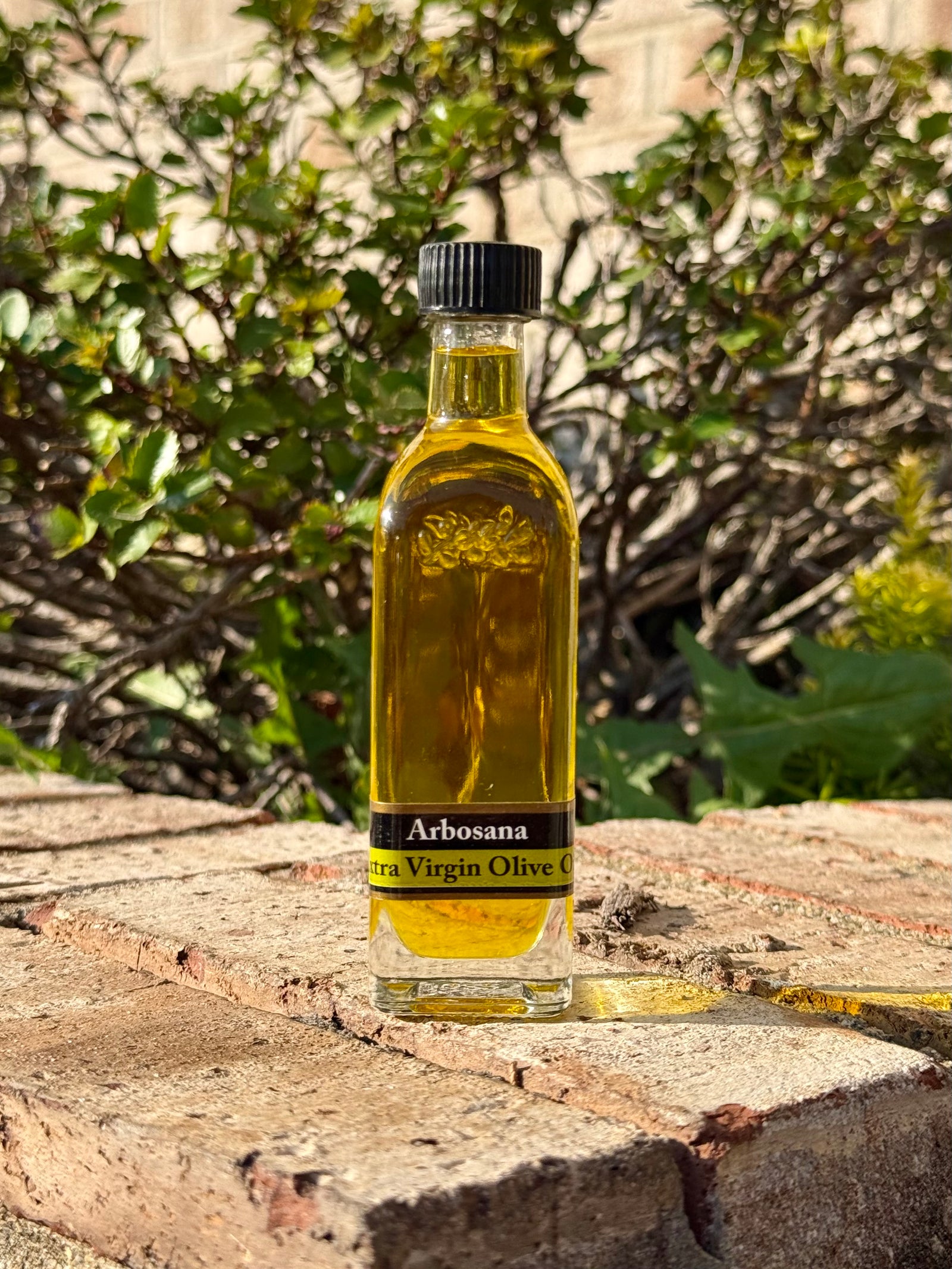Arbosana Organic Olive Oil