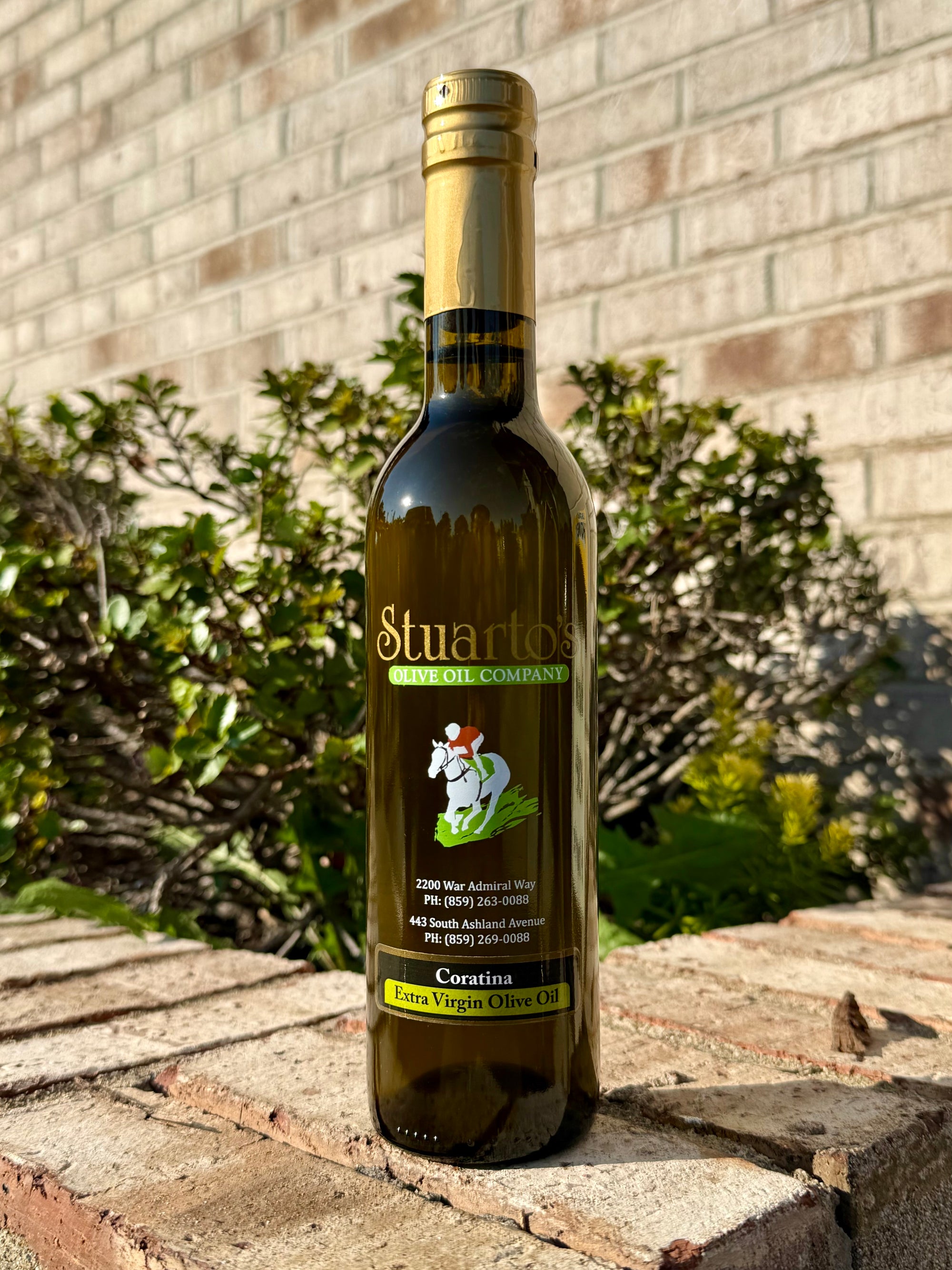 Coratina Olive Oil