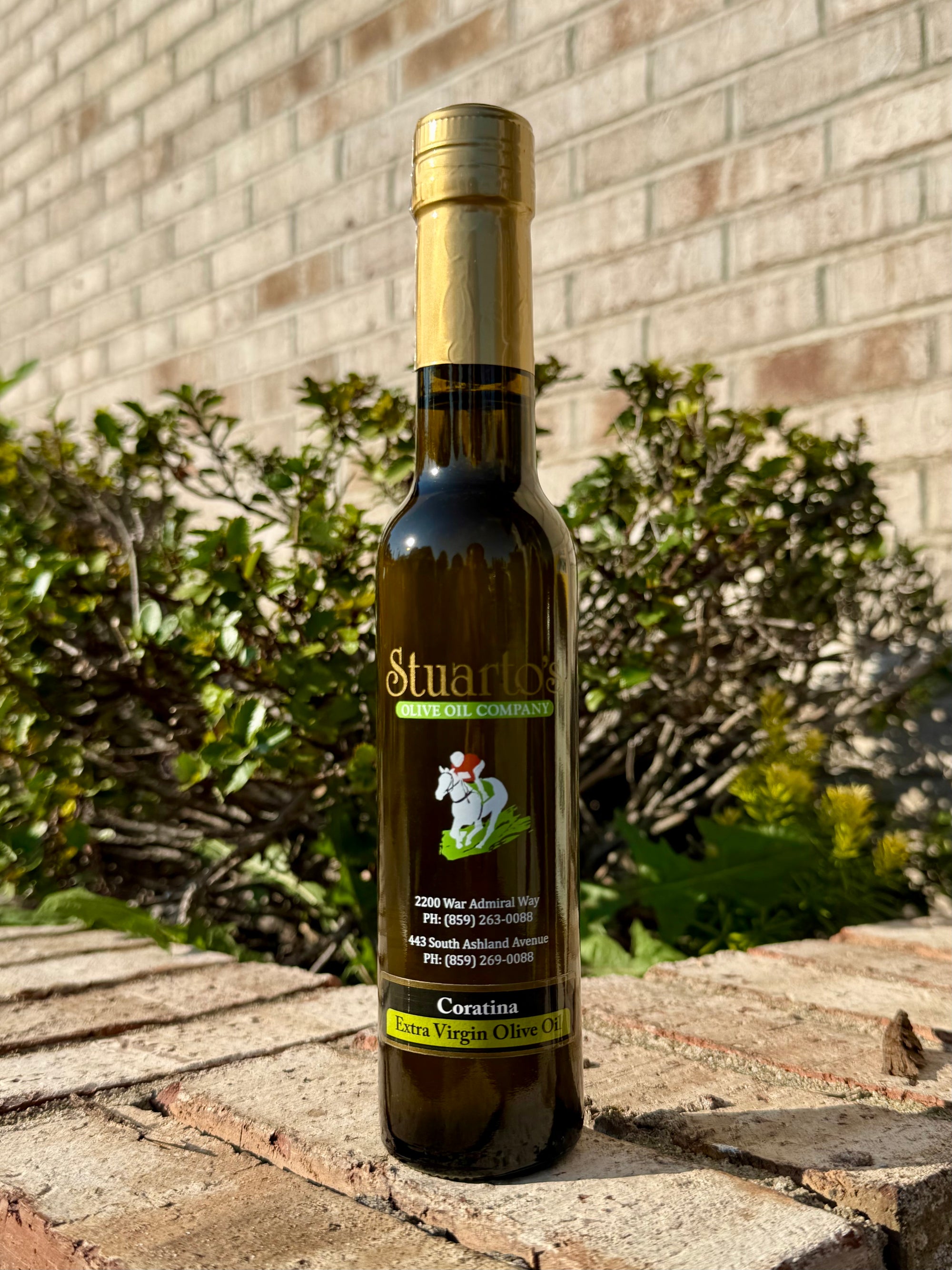 Coratina Olive Oil