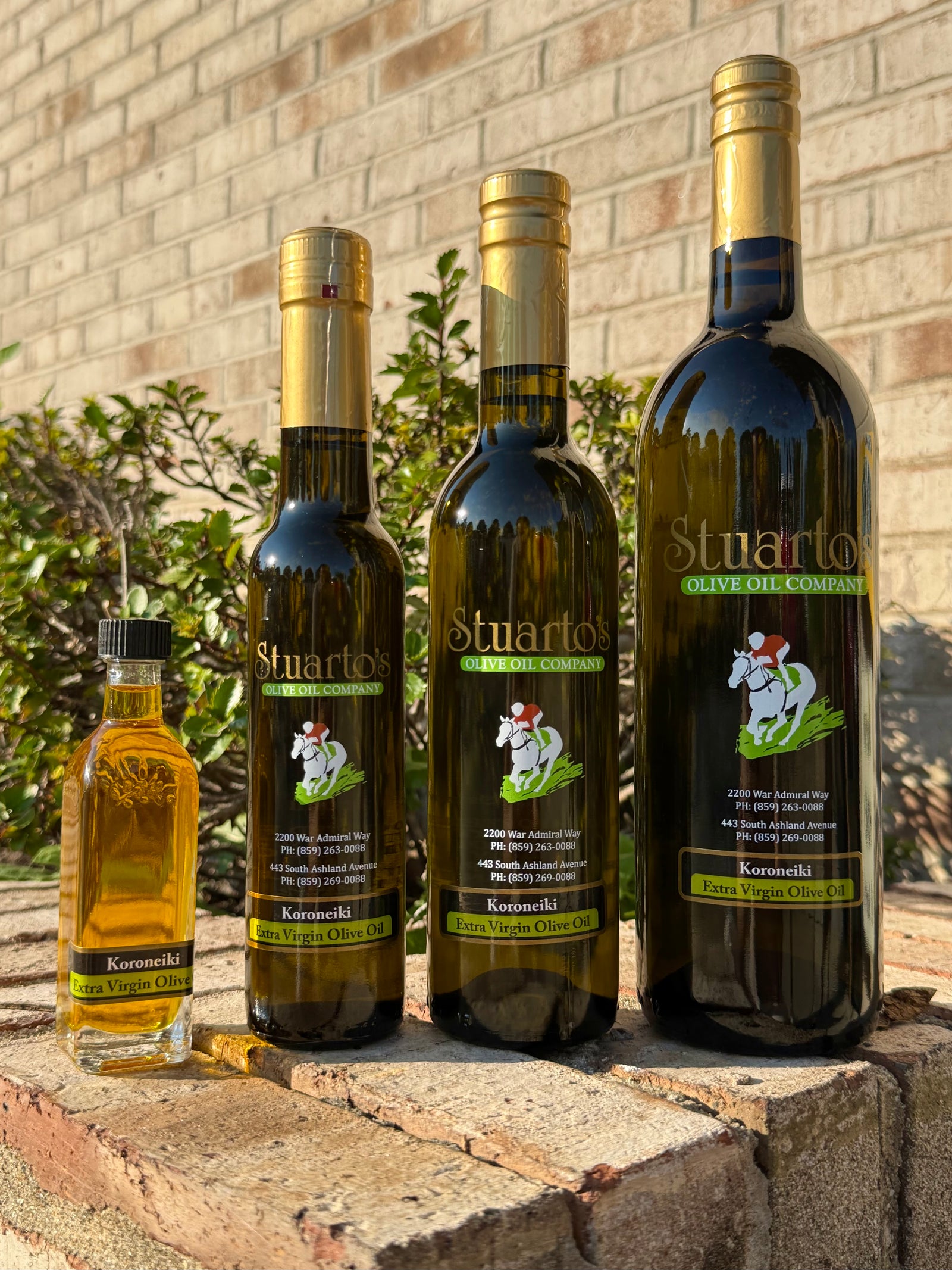 Koroneiki Olive Oil