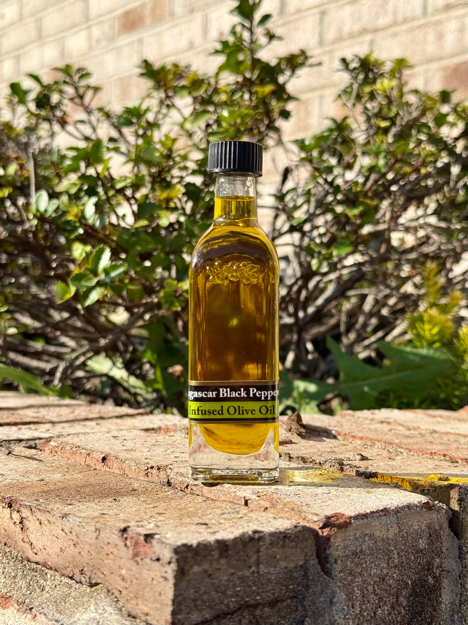 Madagascar Black Pepper Olive Oil
