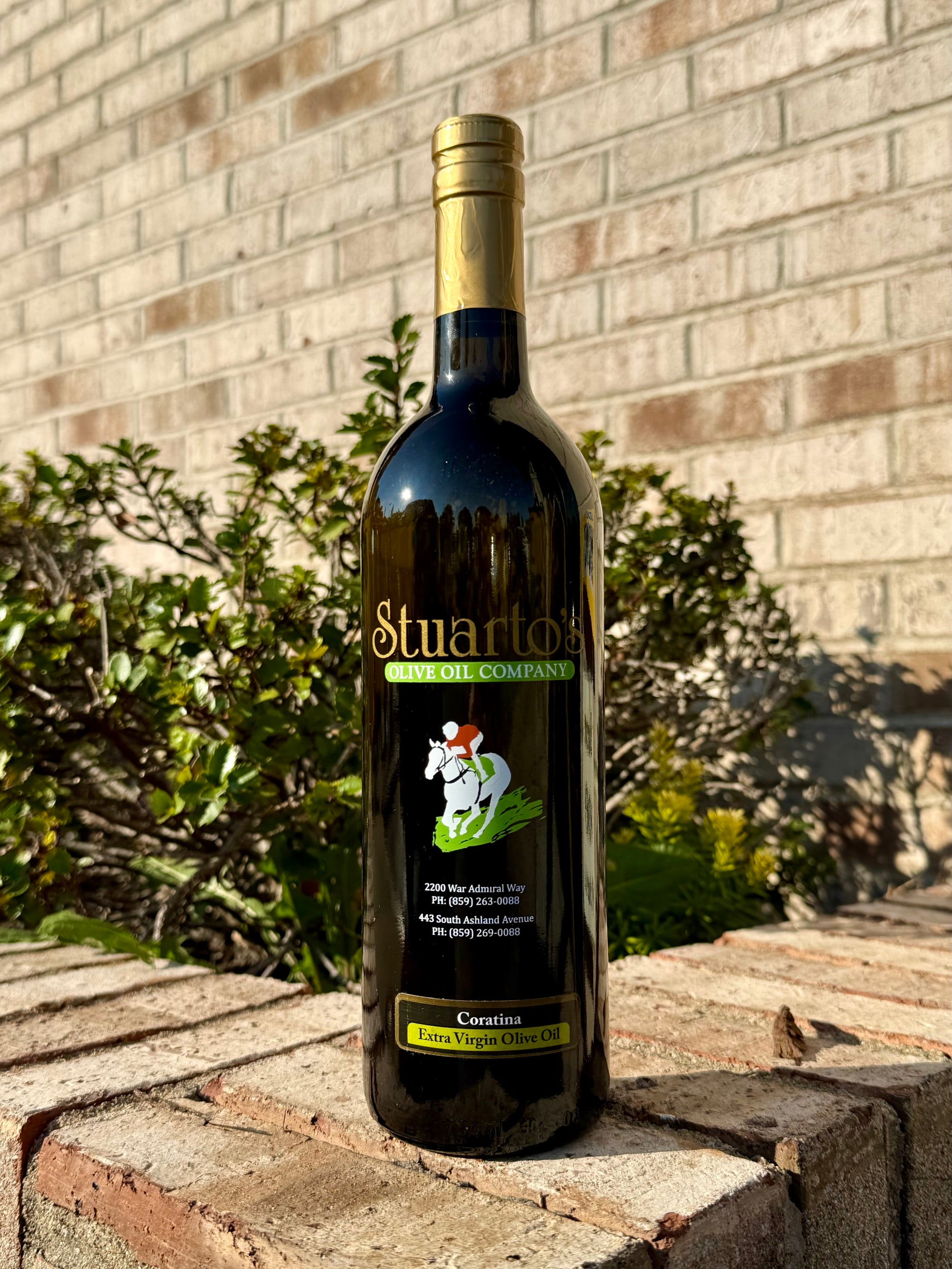 Coratina Olive Oil