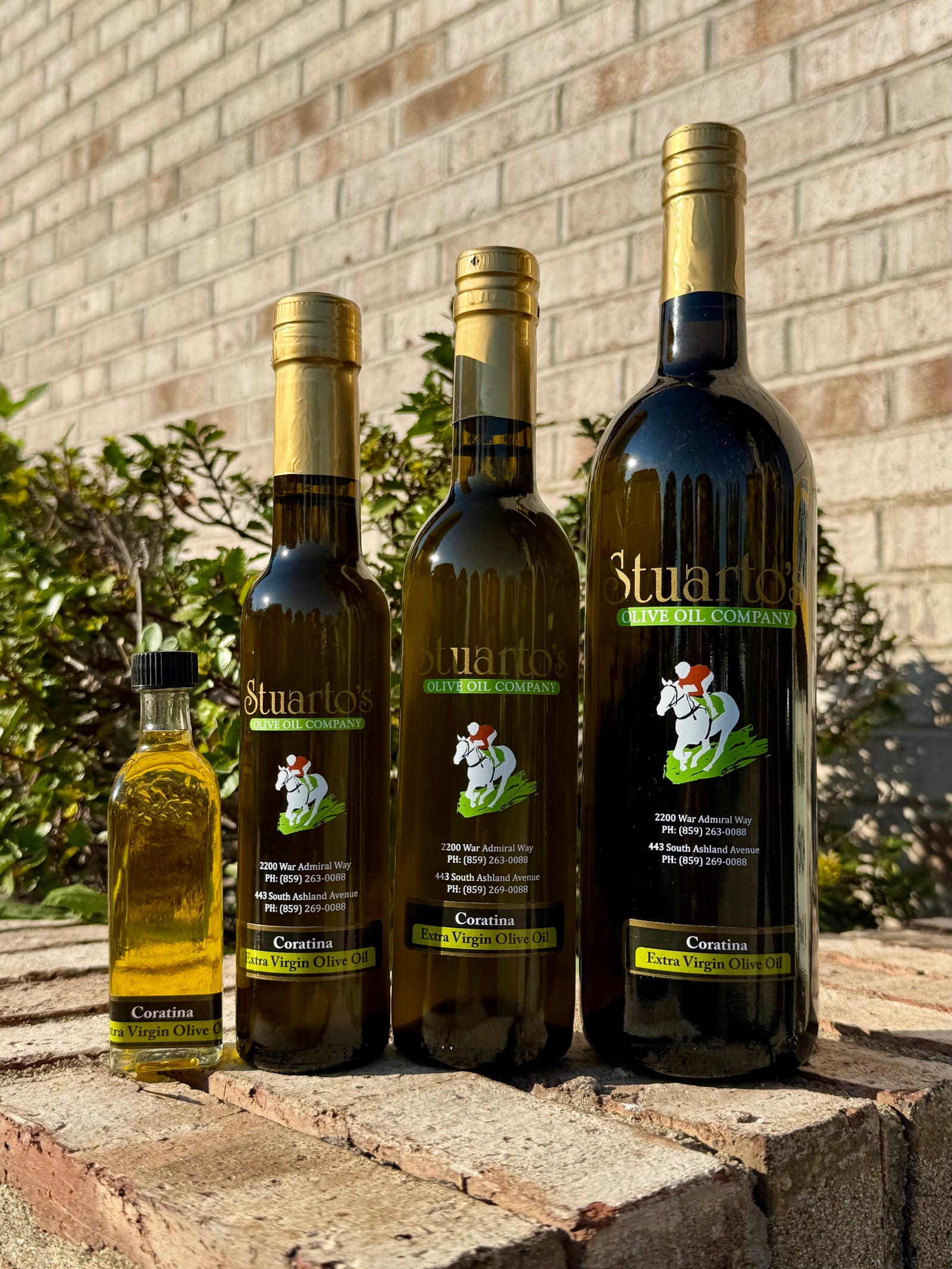 Coratina Olive Oil