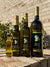 Coratina Olive Oil